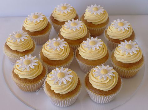 Daisy Cupcakes, Pretty Dessert, Cute Baking, White Daisies, Pretty Birthday Cakes, Think Food, Cute Birthday Cakes, Deilig Mat, Cute Desserts