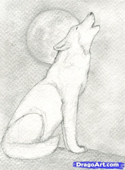 1000+ ideas about Howling Wolf Tattoo on Pinterest | Wolf Tattoos ... Skitse Bog, Wolf Drawing, Drawing Faces, Wolf Pictures, Howling Wolf, Sketchbook Pages, Wolf Howling, A Wolf, Wolf Art