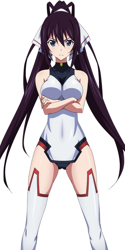 Shinonono Houki Houki Shinonono, Infinite Stratos, Morgan Le Fay, Black Clover Anime, Creepy Art, Anime Girlxgirl, Digital Art Girl, Cute Anime Character, Anime Character Design