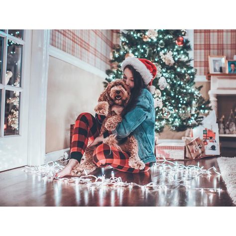 1.8m Followers, 1,191 Following, 1,256 Posts - See Instagram photos and videos from Brandon Woelfel (@brandonwoelfel) Dog Christmas Photos, Dog Christmas Pictures, Pajamas Christmas, Xmas Photos, Photos With Dog, Christmas Shoot, Dog Photoshoot, Foto Tips, Christmas Photography