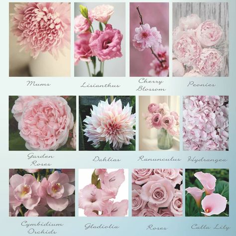 De'Ondra Turner Events on Instagram: “What is your favorite flower?!#peonies#bouquets” Flower Encyclopedia, Flower Charts, Pink Flower Names, Flower List, Wedding Flower Types, Pink Flower Arrangements, Floral Design Classes, Flower Chart, Tucson Wedding