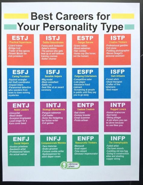 Shannon 🦉 on Twitter: "I’m very excited about either becoming a penguin salesperson or Sonic the Hedgehog.… " Enfp Jobs, Career Test, Career Quiz, Meyers Briggs, Myers Briggs Personality Types, Myers Briggs Personalities, Infj Personality, John Maxwell, Myers Briggs Type