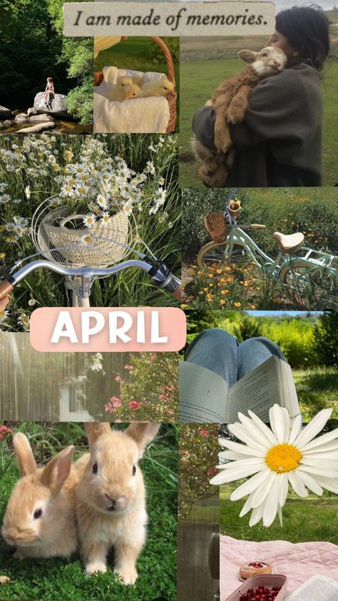 #months aesthetics #april #✨🫶💕 April Aesthetic Collage, April Mood Board Aesthetic, April Month Aesthetic, April Asethic, April Aesthetic Month, May Aesthetic Month, April Collage, April Mood Board, Monthly Aesthetic