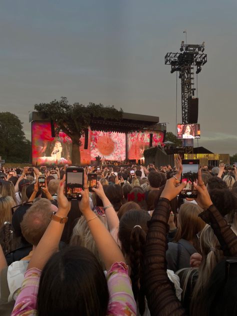 Lana Del Rey Hyde Park, Lana Del Rey Concert Aesthetic, Live Concert Aesthetic, Lana Del Ray Concert, Lana Del Rey Festival, Primavera Festival, Lana Concert, Queen Concert, Hangout Festival