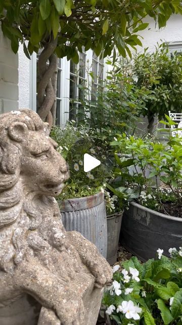 Elliott @thegardeningkind 🧑🏼‍🌾 on Instagram: "Courtyard… featuring heavily in the upcoming Garden Tour along with Bobbin & Co! Struggling to edit it down below 20mins as they’re so much to see!

#whiteaesthetic #courtyard #courtyardgarden #containergarden #whitegarden #smallgarden #gardeninspiration" French Courtyard Garden Ideas, Tiny Courtyard Garden, French Courtyard, Small Courtyard Gardens, Courtyard Gardens Design, Front Courtyard, Small Courtyards, White Gardens, Garden Tours