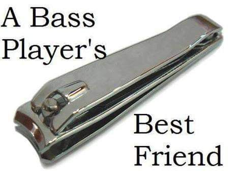 Bassist Quotes, I Love Bass, Musician Humor, Music Jokes, All About That Bass, Bass Guitarist, Music Nerd, Double Bass, Bass Guitars