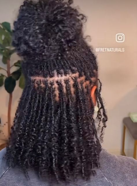 Mirco Locs Hairstyles For Women, Different Type Of Locs For Women, Mini Locs Black Women, Sister Locs Dyed, Microlocs Black Women, Mirco Locs Hairstyles, Medium Sisterlocks, Large Microlocs, Lox Hairstyles