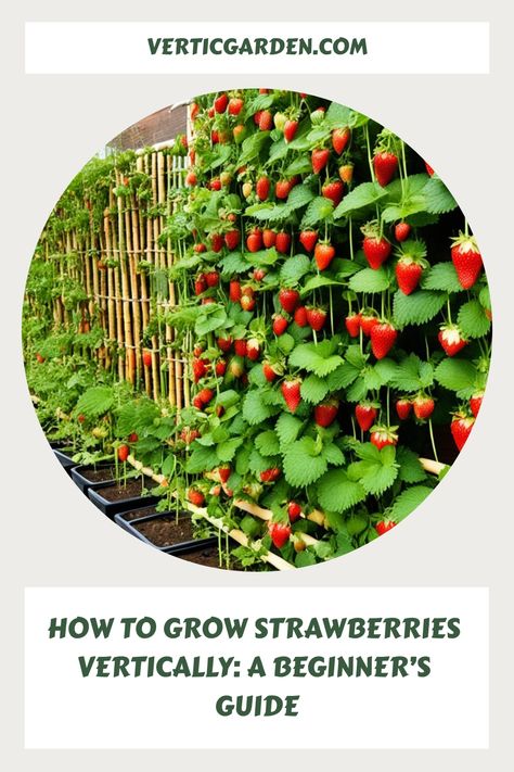 Love strawberries but lack space to grow them? We have a great solution: vertical gardening. By making your strawberries grow up instead of out, you can Strawberry Growing Ideas Vertical, How To Grow Strawberries Vertically, Strawberry Growing Ideas Planters, Container Berries, Strawberry Growing Ideas, Grow Strawberries Vertically, Vertical Strawberry Garden, Vertical Strawberries, Growing Strawberries Indoors