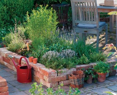 How to reuse old bricks to renovate your yard or garden | My desired home Brick Raised Garden Beds, Brick Projects, Raised Vegetable Gardens, Building A Raised Garden, Brick Garden, Vegetable Garden Diy, Fine Gardening, Old Bricks, Raised Bed