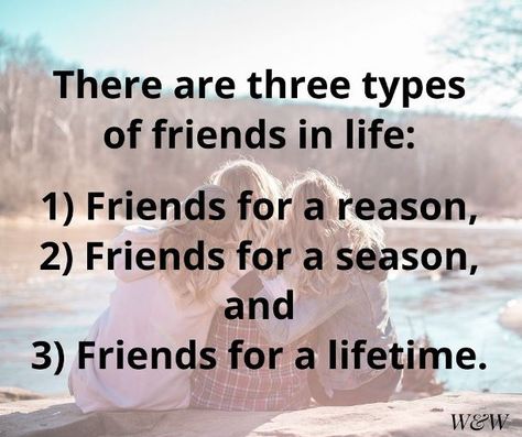 Friendship For A Season Quotes, Friends For Seasons Quote, Friends For A Season Quotes, Lifelong Friendship Quotes, Three Types Of Friends, Type Of Friends, Losing Friends Quotes, Types Of Friends, Loving Quotes