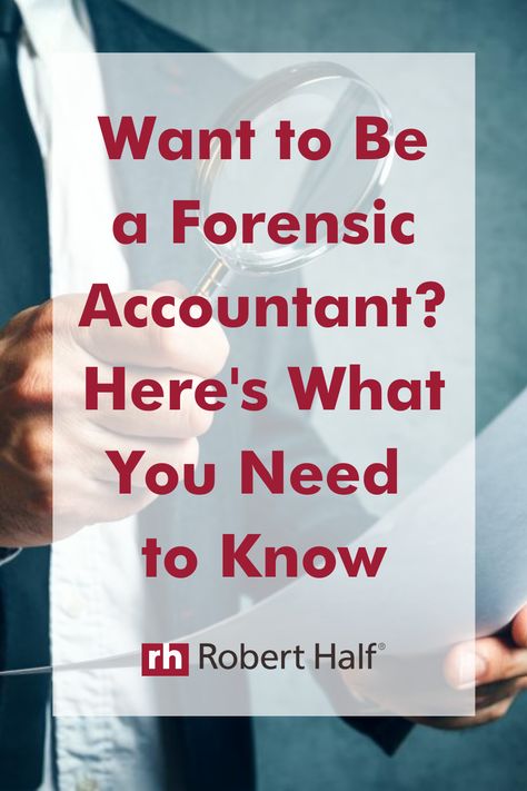 Forensic Accounting Career, Accounting Student Aesthetic, Accounting Major, Cpa Accounting, Forensic Accounting, Government Accounting, Accounting Career, Accounting Degree, Accounting Student