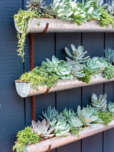 Diy Garden Wall Decor, Succulant Planting Wall, Wall Mounted Planters Outdoor, Herb Garden Wall, Wall Planters Outdoor, Succulent Wall Garden, Pot Gantung, Succulent Wall Planter, Taman Diy