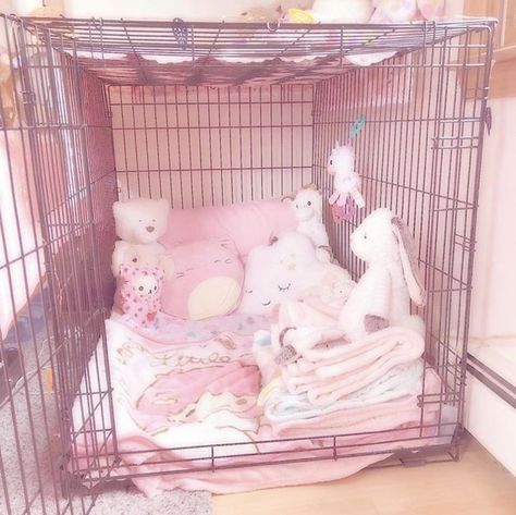 Puppy Cage, Pet Regression, Puppy Room, Girl Math, Puppy Time, Pet Spaces, Pink Puppy, Inner Child Healing, Little Things Quotes