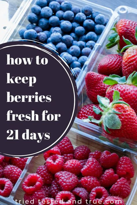 Fruit Basket Ideas, Berry Fruit Salad, Instant Pot Yogurt, Storing Fruit, Vegetable Prep, Berry Juice, Easy Summer Desserts, Fruit Storage, Small Kitchens