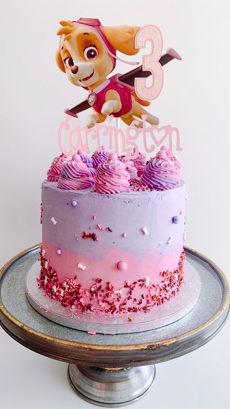 Sprinkle mix: Pink Paw-ty -- Cake by @midnite.creations -- #pawpatrolcakes #pawpatrolcake #charactercake #charactercakes #kidscakes #buttercream #birthdaycake #funfetticake #biscoffcake #delicious #cakesdaily #cotd #cakeit #childrenscake #blueandred #cakespiration #scarboroughcakes #midnitecreations Girly Paw Patrol Cake, Sky Paw Patrol Cake Ideas, Skye Paw Patrol Cake Ideas, Paw Patrol Cakes For A Girl, Sky Birthday Cake Paw Patrol, Paw Patrol Girl Birthday Cake, Girl Paw Patrol Birthday Party, Pink Paw Patrol Party Ideas, Skye Cake Paw Patrol