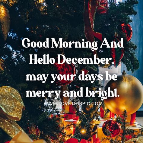 Good Morning And Hello December, may your days be merry and bright. quotes good morning december december quotes hello december welcome december hello december images welcome december quotes hello december photos good morning hello december hello december 2022 hello december pictures hello december images quotes december quotes for 2022 good morning hello december images hello december quotes wishes and messages December 1st Quotes, Good Morning December, Welcome December Quotes, Hello December Pictures, December Pictures, Welcome December, Good Morning Facebook, December Quotes, Good Morning Images Download