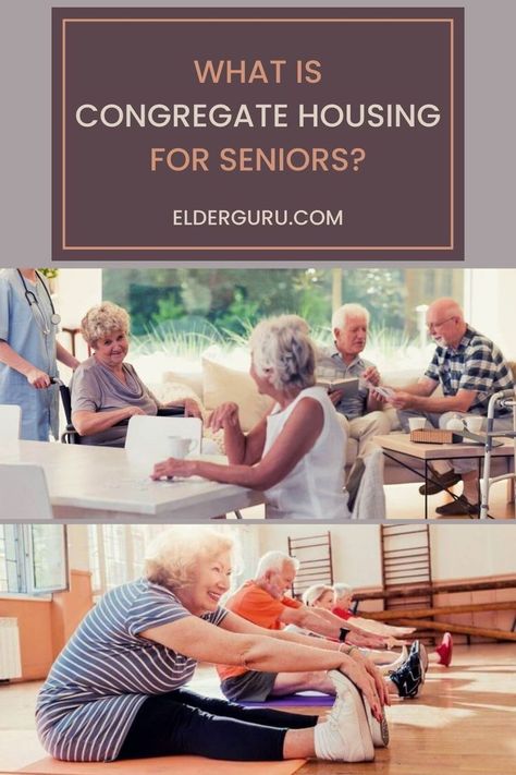 seniors congregate housing Senior Living Facilities, Senior Housing, Senior Center, Assisted Living Facility, Retirement Community, Elderly People, Senior Care, Care Facility, Elderly Care