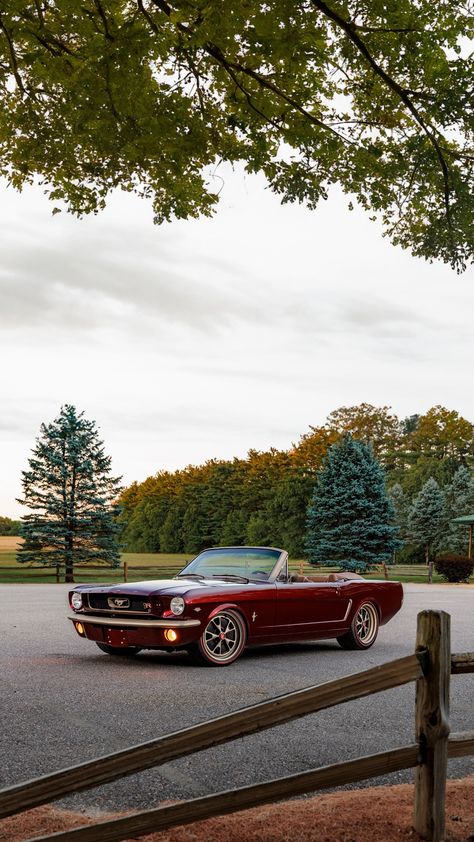 Ringbrothers Ford Mustang Convertible Uncaged 1965 Engine: 5.0L V8 Power: 343 kW / 466 hp Torque: 570 Nm / 420 lb-ft Old Ford Cars, Old School Mustang, 1980 Mustang, Vintage Cars Aesthetic, Old Mustang, 1965 Mustang Convertible, 1965 Ford Mustang Convertible, 1970 Mustang, V8 Cars