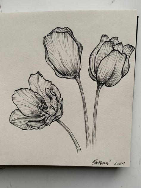 Flower Ink Drawing Illustrations, Pen Drawings Of Flowers, Calming Things To Draw, Flower Drawing With Pen, Pen Artwork Sketches, Flowers Pen Drawing, Pencil Sketches Flowers, Micron Pen Art Flowers, Flower Drawing Inspiration