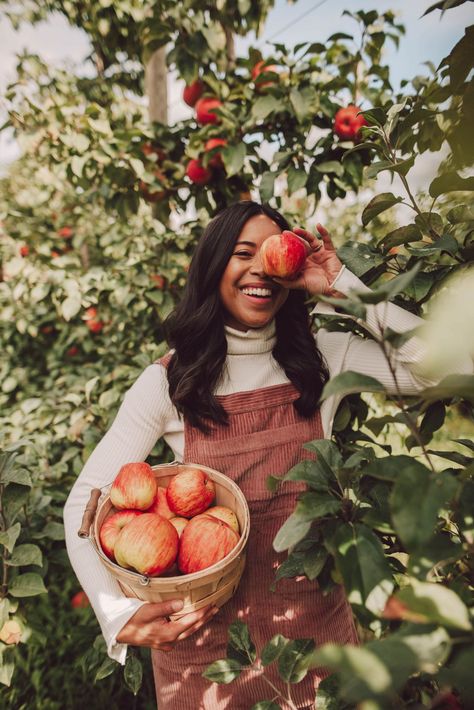 Bellewood Farms in Lynden, WA - how to pose at an apple orchard - apple picking photo shoot ideas - fall activities - apple picking photography - apple picking outfits Apple Farm Photoshoot Family, Apple Orchard Senior Pictures, Apple Orchard Poses, Apple Farm Photoshoot, Vermont Photoshoot, Apple Picking Photography, Farm Poses, Apple Picking Photoshoot, Apple Picking Pictures