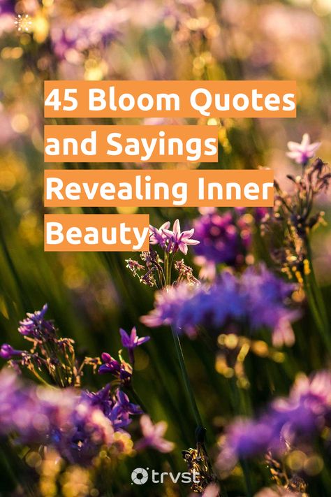 "45 Bloom Quotes and Sayings Revealing Inner Beauty"- To bloom is to produce flowers that, as we all know, are reproductive, striking, and often beautiful parts of a plant. After blooming, trees make the fruits we eat and enjoy. Like in life, blooming is analogous to revealing the inner beauty and strengths that have always been inside... #trvst #quotes #sustainableliving #nature #beauty #trees #flowers #life #plant #earth #gogreen #volunteer #thinkgreen Plant Growing Quotes Life, Quotes About Beauty On The Inside, Bloom Quotes Flower, Bloom Where You Are Planted Printable, Blooming Quotes Motivation, Bloom Sayings, Plant Sayings Quotes, Flowers Blooming Quotes, Bloom Quotes Motivation