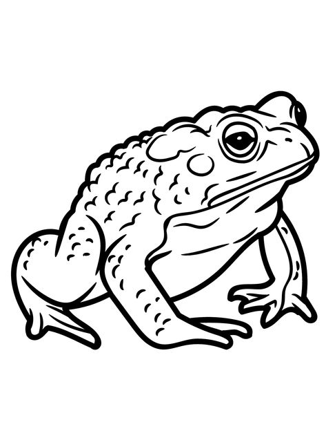 Toad - Lol Coloring Pages Toad Sketch Drawings, Bull Frog Drawing, Toad Pumpkin Carving, Toad Pumpkin, Frog Coloring Pages Free Printable, Toad Sketch, Frog Drawing Sketches, Toad Coloring Pages, Toad Drawing