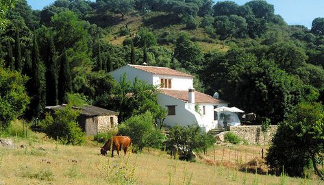 absolute dreamhouse!!! Spanish Country Home, Meeting Room Booking System, Spanish Countryside, Spanish Farmhouse, Andalucia Spain, Countryside House, Holiday Villa, Beautiful Places In The World, Spanish Style