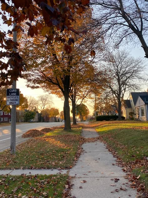 fall aesthetic, autumn, leaves falling, season, halloween, autumn aesthetic Comfy Fall Aesthetic, Snowy Autumn, Autumn Cozy Aesthetic, Halloween Autumn Aesthetic, Aesthetic Autumn Leaves, Easy Outdoor Projects, Autumn Leaves Falling, Aesthetic Stationary, Fall Szn