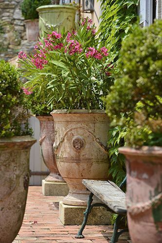 Eye For Design: Decorating With French Anduze Planters Anduze Pot, Container Gardening Shade, Gemüseanbau In Kübeln, Patio Container Gardening, Pot Garden, French Pottery, Garden Urns, Container Gardening Vegetables, Garden Containers