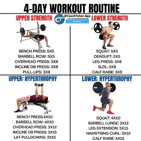 4 Day Workout Routine, Dumbbell Workout Routine, Bodybuilding Plan, 4 Day Workout, Lower Workout, Free Weight Workout, Workout Circuit, Leg Days, Full Body Workout Plan