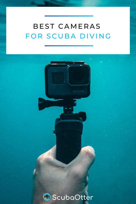 Now that you’ve got a few dives under your belt, you’re wanting to start sharing some moments with friends and family.  But…  You’re not sure exactly what you’ll need to capture these moments.  Don’t worry, as this is where Scubaotter comes in.   We’ve scoured the internet, comparing and contrasting all of the most popular dive cameras out there, allowing you to make an educated decision based off several factors. Gopro Video, Editing Photography, Canon Cameras, Photography Jobs, Nikon Dslr, Camera Canon, Leica Camera, Go Pro, Gopro Accessories