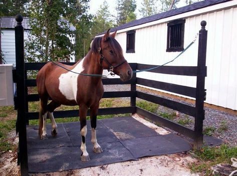 Outdoor wash stall / grooming rack - Horses | BackYard Chickens Horse Enclosure Ideas, 4h Horse Presentation Ideas, Horse Shower Stall, Horse Farm Ideas, Barn Hacks, Diy Horse Barn, Horse Barn Ideas Stables, Barn Stalls, Horse Barn Designs