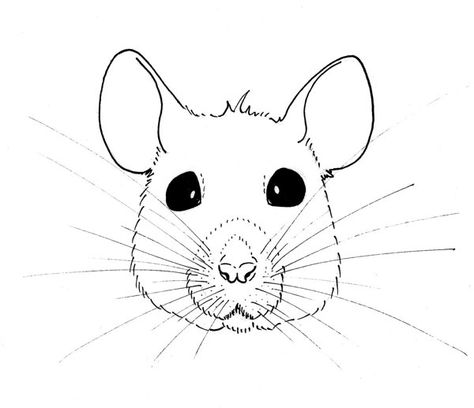 Rat Face Drawing, Rat Face, Rat Drawing, Face Outline, Drawing Faces, Outline Drawings, Face Drawing, Drawing For Kids, Rats