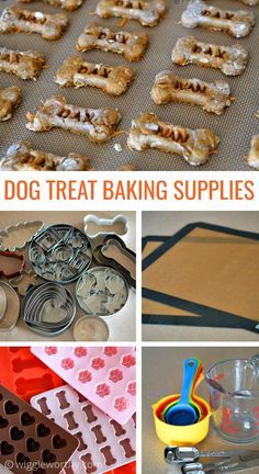 Gato Ragdoll, Homemade Pet Treats, Homemade Dog Cookies, Pet Treats Recipes, Easy Dog Treat Recipes, Dog Biscuit Recipes, Easy Dog Treats, Healthy Dog Treats Homemade, Pumpkin Dog Treats