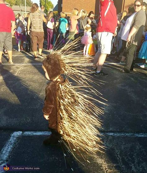 Kid dressed as porcupine ~ Best Halloween Costumes Porcupine Costume, Baby Porcupine, Christmas Cubicle, Diy Baby Costumes, Monkey Costumes, Halloween Costumes 2016, Great Halloween Costumes, Costume Works, Baby Costume