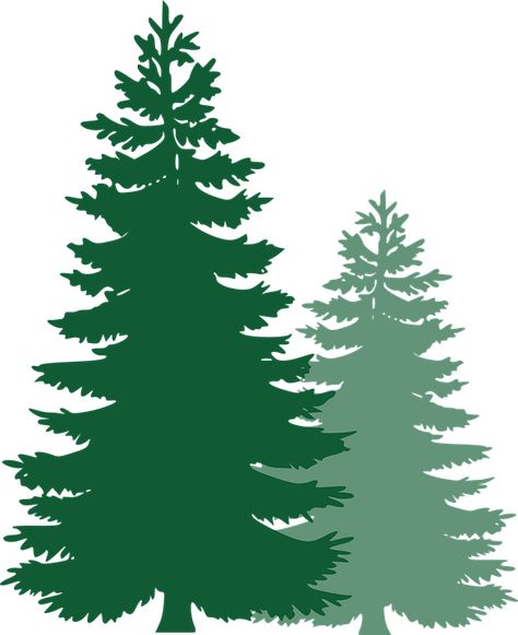 Free vector graphic: Pine Trees, Spruce Trees - Free Image on ... Christmas Tree Silhouette, Pine Tree Silhouette, Bushcraft Skills, Pine Trees Forest, Palm Tree Silhouette, Christmas Tree Clipart, Tree Stencil, Tree Clipart, Spruce Tree