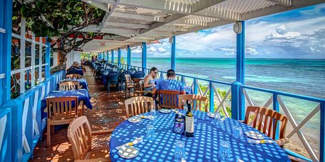 The Best Restaurants in Grand Cayman | Cayman Good Taste Georgetown Grand Cayman, Asian Cafe, Cayman Brac, Grand Cayman Island, Cayman Island, Waterfront Dining, Waterfront Restaurant, Grand Cayman, Budget Hotel