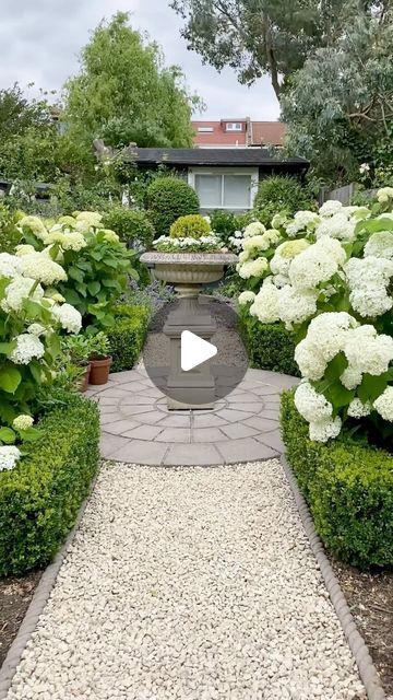 Vas Karpetas on Instagram: "Why are my Hydrangeas this big well here is why !   Having huge flower heads comes with a price because when rain gets to them they will flop !   Last year I designed some stakes with @plantsupportsuk that helped a lot but this year I have a brilliant idea that will add to these stakes .  Watch this space Annabelle lovers 💚  gardens #garden #gardening #flowers #nature #plants #gardenlife #gardendesign #gardensofinstagram #gardeninspiration #gardener #gardenlove #flower #photography #naturephotography #mygarden #landscape #landscaping #plantsofinstagram #green #landscapedesign #flowersofinstagram #instagarden #plant #architecture #spring #summer #flowerphotography #hydrangea" Allium Garden, Plant Architecture, Hydrangea Landscaping, Annabelle Hydrangea, Plant Tips, Oakleaf Hydrangea, Hydrangea Garden, Garden Designer, Gardening Flowers