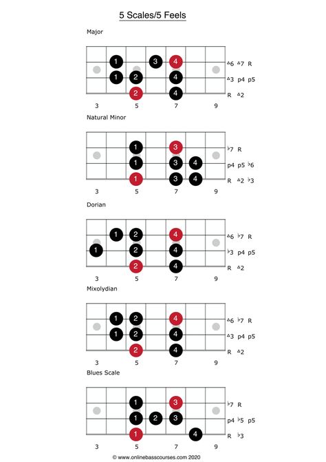 Bass Scales, Bass Tablature, Bass Chords, Guitar Scales Charts, Bass Guitar Scales, Bass Guitar Notes, Bass Notes, Learn Bass Guitar, Bass Guitar Chords