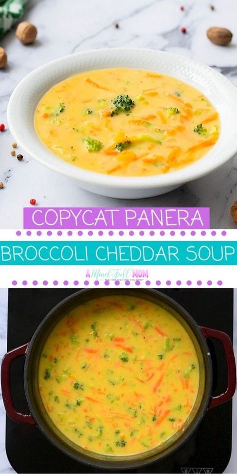 Save yourself time and calories and make this version of Copycat Panera Broccoli Cheddar Soup. Ready in just 30 minutes, no one will guess this broccoli cheddar soup recipe has been lightened up and contains only a fraction of the fat and calories of Panera Bread's famous broccoli cheese soup.  This is a MUST make soup! Broccoli Cheddar Soup Panera, Healthy Broccoli Cheese Soup, Copycat Panera Broccoli Cheddar Soup, Panera Broccoli Cheese Soup, Panera Copycat, Broccoli Cheddar Soup Recipe, Cheddar Soup Recipe, Copycat Panera, Healthy Broccoli