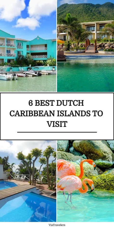 Collage featuring Dutch Caribbean highlights: tropical architecture, hillside villas with pool, and a flamingo by the water, promoting the top 6 islands to visit. Aruba Island, Curacao Island, Islands To Visit, Oranjestad, Caribbean Islands, Capital City, Travel Lifestyle, The Caribbean, Best Hotels