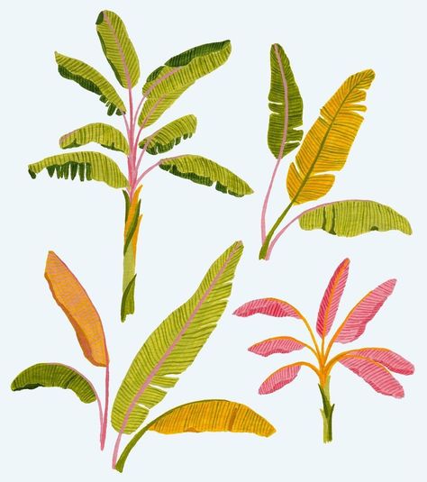 All posts • Instagram Tropical Plants Illustration, Banana Illustration, Plants Illustration, Banana Plant, Banana Plants, Gouache Art, Art Prompts, Plant Illustration, Tropical Plants