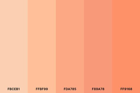 Soft Peach Color Palette with Apricot (Hex #FBCEB1) Peach (Hex #FFBF99) Atomic Tangerine (Hex #FDA785) Atomic Tangerine (Hex #F89A78) Atomic Tangerine (Hex #FF9168) Color Palette with Hex Codes Apricot Wall Color, Peach Color Code, Color Palette With Hex Codes, Peach Color Palette, Bridal Shower Colors, 2024 Colors, Peach Color Palettes, Peach Palette, Skin Color Palette