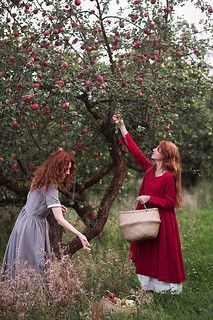 Apple Tree Aesthetic, Picking Apples, Tree Aesthetic, Aesthetic Ideas, Foto Vintage, Farm Girl, Apple Tree, 인물 사진, Simple Life