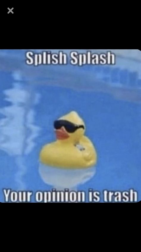 Opinion Meme, Your Opinion Is Trash, Funny Mean Quotes, Really Good Comebacks, Funny Pix, Good Comebacks, Splish Splash, Relatable Post Funny, Very Funny Pictures