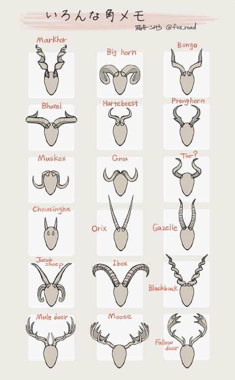 horn references by @fox_road on twitter Horns On Head Reference, Animal Horns Reference, Different Types Of Horns, Horn Designs Art, Horned Character Design Male, Horn Anatomy, How To Draw Horns, Female With Horns, Character Horns