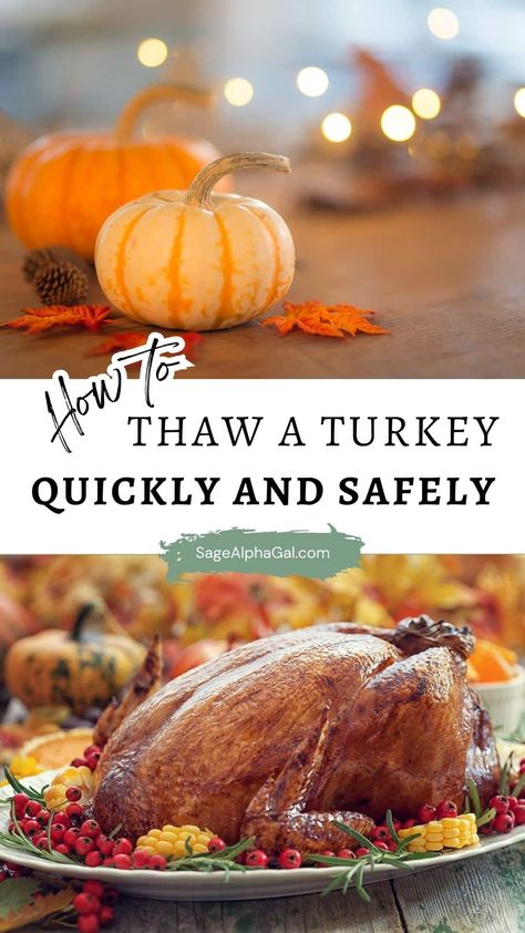 Looking for tips on how to thaw a turkey safely and easily? Whether you're planning ahead or need a quick fix, this guide will show you how to thaw a frozen turkey in three ways: the refrigerator, cold water, and microwave. Learn the best practices for fast turkey thawing while ensuring that your bird stays safe to eat. Find out when and how to thaw your turkey so it's ready just in time for the big meal. No need to panic — Thanksgiving will be saved! How To Thaw A Turkey Frozen, Defrost Turkey Frozen Quickly, How To Cook A Frozen Turkey, When To Unthaw Turkey, How To Thaw A Turkey Quickly, Make Turkey Ahead Of Time, Thaw Turkey Frozen, Quick Thaw Turkey, Thawing A Turkey Frozen