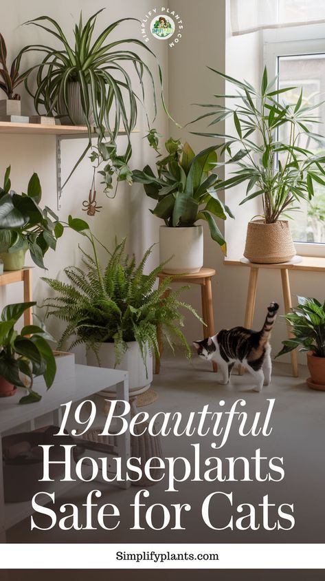 "Discover 19 beautiful houseplants safe for cats that will brighten your home and enhance your indoor gardening experience! These cat-friendly plants not only add vibrant greenery to your decor but are also pet-safe and non-toxic, ensuring a happy and healthy environment for your feline friends. Explore our curated list of indoor plants that are perfect for a pet-friendly home, offering stylish houseplant ideas that complement your plant decor." Non Toxic Indoor Plants, Indoor Plants Pet Friendly, Cat Safe House Plants, Pet Friendly House Plants, Houseplants Safe For Cats, Safe House Plants, Cat Friendly Plants, Houseplant Ideas, Plants Pet Friendly