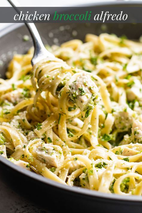 Chicken Spaghetti With Broccoli, Parmesan Fettuccine, Chicken Broccoli Alfredo Pasta, Spaghetti With Broccoli, Broccoli Alfredo Pasta, Pasta Broccoli, Pasta With Broccoli, Chopped Broccoli, Broccoli Dishes