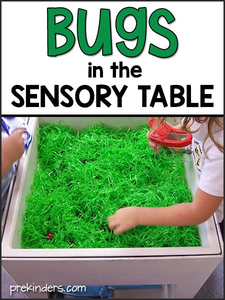 Bugs Activities, April Lesson Plans, Spring Lesson Plans, Bug Activities, Insects Preschool, Spring Lessons, Bugs Preschool, Insect Activities, Toddler Lessons